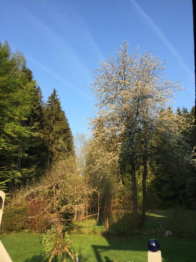 Das Alte Forsthaus Spiegelhuette 林德伯格 外观 照片